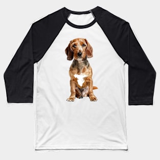 Basset Fauve de Bretagne Baseball T-Shirt